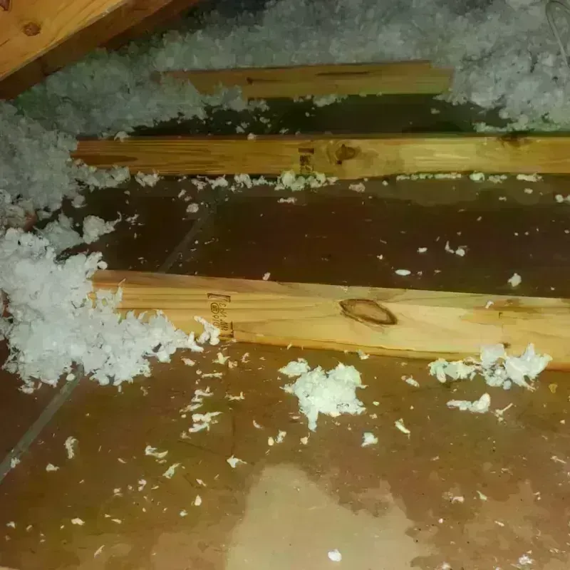 Attic Water Damage in Diaz, AR