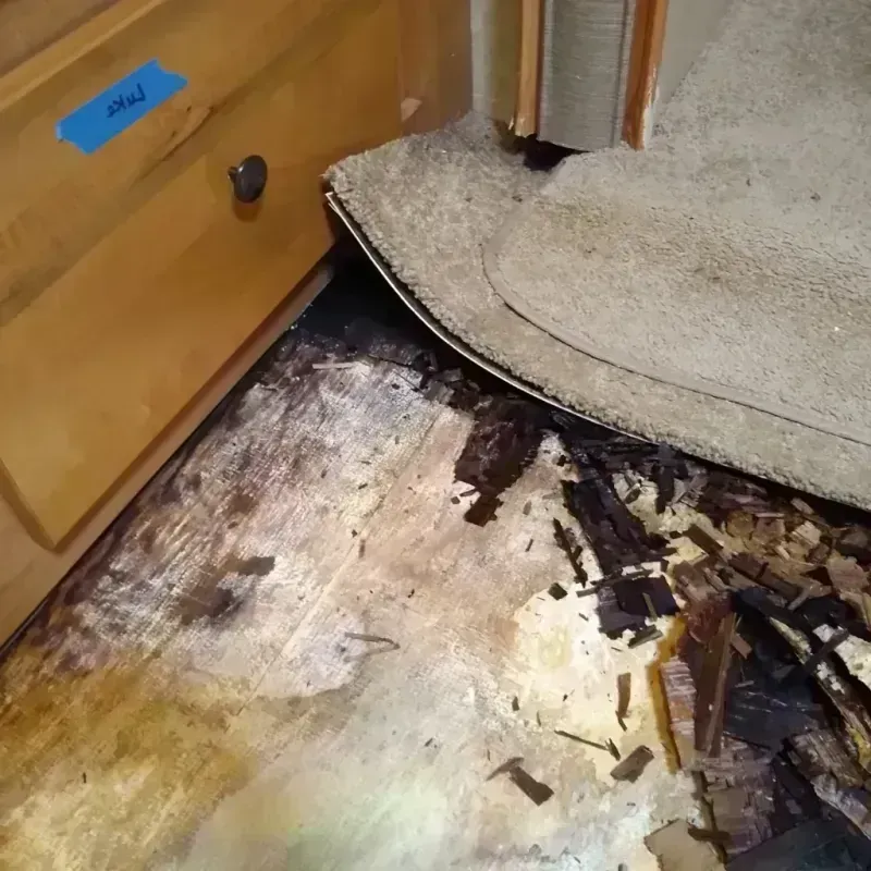 Best Wood Floor Water Damage Service in Diaz, AR